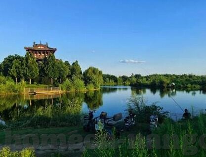 炸金花挂-炸金花挂，传统技艺与现代审美的融合